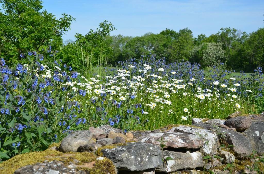 Rosenborgs Friluftspensionat แฟร์เยสตาเดน ภายนอก รูปภาพ