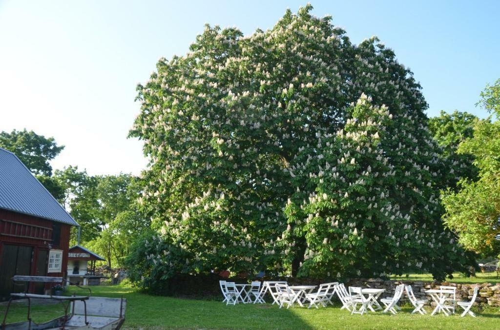 Rosenborgs Friluftspensionat แฟร์เยสตาเดน ภายนอก รูปภาพ